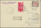 Delcampe - 24813 Flugpost Europa: 1909/1940 (ca.), Accumulation In Two Albums With About 220 Mostly Airmail Covers Wi - Autres - Europe