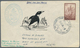 24946 Thematik: Antarktis / Antarctic: 1948/1987, Collection Of Apprx. 200 Covers Bearing Argentinian Fank - Autres & Non Classés