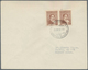 24946 Thematik: Antarktis / Antarctic: 1948/1987, Collection Of Apprx. 200 Covers Bearing Argentinian Fank - Autres & Non Classés