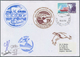 24969 Thematik: Arktis / Arctic: 1973/1994, NORWAY, Interesting Collection Of Apprx. 110 Arctic Covers And - Andere & Zonder Classificatie