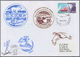 24969 Thematik: Arktis / Arctic: 1973/1994, NORWAY, Interesting Collection Of Apprx. 110 Arctic Covers And - Autres & Non Classés