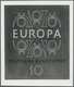 25034 Thematik: Europa / Europe: 1957/1995 (approx), Various Countries. Accumulation Of 102 Items Showing - Ideas Europeas