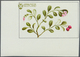 25067 Thematik: Flora, Botanik / Flora, Botany, Bloom: 1970/1990 (ca.), Assortment Of 109 Positions Incl. - Autres & Non Classés