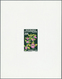 25068 Thematik: Flora, Botanik / Flora, Botany, Bloom: 1970/1990 (ca.), Assortment Of 142 Positions Incl. - Autres & Non Classés