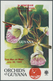 25084 Thematik: Flora-Orchideen / Flora-orchids: 1955/2004 (approx), Various Countries. Accumulation Of 57 - Orchidées