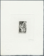 25167 Thematik: Kunst / Art: 1963/1975. Lot Of 18 Epreuves D'artiste Signée Showing The Topic ARTS And CRA - Autres & Non Classés