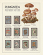 Delcampe - 25422 Thematik: Pilze / Mushrooms: 1959/1999, Alle Welt. Sehr Umfangreiche Sammlung In 20 Ringbindern Mit - Champignons