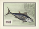 25698 Thematik: Tiere-Fische / Animals-fishes: 1955, France. "LES OISEAUX Et Le Timbre-Poste Par F.-E. Hou - Fische