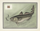 Delcampe - 25698 Thematik: Tiere-Fische / Animals-fishes: 1955, France. "LES OISEAUX Et Le Timbre-Poste Par F.-E. Hou - Fische