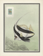 Delcampe - 25698 Thematik: Tiere-Fische / Animals-fishes: 1955, France. "LES OISEAUX Et Le Timbre-Poste Par F.-E. Hou - Poissons