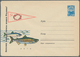 Delcampe - 25699 Thematik: Tiere-Fische / Animals-fishes: 1957/1976, USSR. Lot Of About 78 Only Different Entire Enve - Poissons