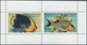 25700 Thematik: Tiere-Fische / Animals-fishes: 1960/2000 (approx), Various Countries. Accumulation Of 76 I - Poissons