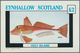 25701 Thematik: Tiere-Fische / Animals-fishes: 1960/2000 (approx), Various Countries. Accumulation Of 74 I - Poissons