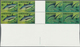 25703 Thematik: Tiere-Fische / Animals-fishes: 1960/2000 (approx), Various Countries. Accumulation Of 41 I - Poissons