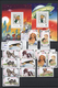 25709 Thematik: Tiere-Hunde / Animals-dogs: 1960/2014 (ca.), Mainly U/m Collection Of Stamps And Souvenir - Chiens