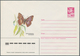 25792 Thematik: Tiere-Schmetterlinge / Animals-butterflies: 1956/2003, USSR. Lot Of About 46 Only Differen - Papillons