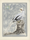Delcampe - 25816 Thematik: Tiere-Vögel / Animals-birds: 1949, France. "LES OISEAUX Et Le Timbre-Poste Par Mme Duprat- - Autres & Non Classés