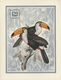 Delcampe - 25816 Thematik: Tiere-Vögel / Animals-birds: 1949, France. "LES OISEAUX Et Le Timbre-Poste Par Mme Duprat- - Autres & Non Classés