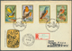 25819 Thematik: Tiere-Vögel / Animals-birds: 1959/1999 (ca.), Interessanter, Reichhaltiger Bestand Mit Gro - Autres & Non Classés