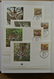 Delcampe - 25901 Thematik: WWF: Stockbook With MNH Sets And FDC's With WorldWildlifeFund Stamps. - Autres & Non Classés