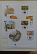 Delcampe - 25901 Thematik: WWF: Stockbook With MNH Sets And FDC's With WorldWildlifeFund Stamps. - Autres & Non Classés