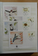 Delcampe - 25901 Thematik: WWF: Stockbook With MNH Sets And FDC's With WorldWildlifeFund Stamps. - Autres & Non Classés