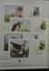 Delcampe - 25901 Thematik: WWF: Stockbook With MNH Sets And FDC's With WorldWildlifeFund Stamps. - Autres & Non Classés