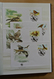 Delcampe - 25901 Thematik: WWF: Stockbook With MNH Sets And FDC's With WorldWildlifeFund Stamps. - Autres & Non Classés