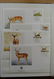 Delcampe - 25901 Thematik: WWF: Stockbook With MNH Sets And FDC's With WorldWildlifeFund Stamps. - Autres & Non Classés