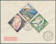Delcampe - 26429 Frankreich: 1925/1962, Frankreich Und Kolonien, Partie Von Ca. 57 Belegen, Dabei Dekorative Flugpost - Oblitérés