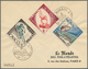 Delcampe - 26429 Frankreich: 1925/1962, Frankreich Und Kolonien, Partie Von Ca. 57 Belegen, Dabei Dekorative Flugpost - Oblitérés