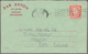 26854 Irland - Ganzsachen: 1945/2000, Umfangreiche Sammlung Der Aerogrammen Mit Vielen Ungebrauchten Und G - Entiers Postaux