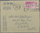 26854 Irland - Ganzsachen: 1945/2000, Umfangreiche Sammlung Der Aerogrammen Mit Vielen Ungebrauchten Und G - Postal Stationery
