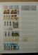 Delcampe - 26985 Italien: 1926-1981. Stockbook With Various MNH Sets Of Italy 1926-1981. Much Material, Cat. Value Ca - Marcophilie