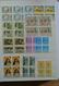 Delcampe - 26986 Italien: 1926-1979. Wonderful Mint Never Hinged Collection, In Beautiful Condition, All Collected In - Marcophilie