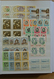 Delcampe - 26986 Italien: 1926-1979. Wonderful Mint Never Hinged Collection, In Beautiful Condition, All Collected In - Marcophilie