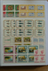 Delcampe - 26986 Italien: 1926-1979. Wonderful Mint Never Hinged Collection, In Beautiful Condition, All Collected In - Marcophilie