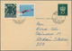 Delcampe - 27201 Liechtenstein: 1918/1960, Netter Sammlungsposten Von über 100 Briefen Und Ganzsachen, Dabei Bessere - Lettres & Documents