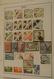 Delcampe - 27342 Monaco: 1885/1983_ MNH, Mint Hinged And Used Collection Monaco 1885-1983 On Albumpages In Folder. Me - Neufs