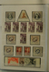 Delcampe - 27346 Monaco: 1885/1974: Well Filled, MNH, Mint Hinged And Used Collection Monaco 1885-1974 In 2 Stockbook - Neufs