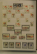 Delcampe - 27346 Monaco: 1885/1974: Well Filled, MNH, Mint Hinged And Used Collection Monaco 1885-1974 In 2 Stockbook - Neufs