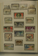 Delcampe - 27346 Monaco: 1885/1974: Well Filled, MNH, Mint Hinged And Used Collection Monaco 1885-1974 In 2 Stockbook - Neufs