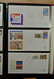 Delcampe - 27476 Niederlande: 1959-2009 As Good As Complete Collection FDC's Of The Netherlands 1959-2009 In 7 FDC Al - Lettres & Documents