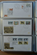 Delcampe - 27479 Niederlande: 1960-2013. Apparently Complete, Unaddressed Collection FDC's Of The Netherlands 1960-20 - Lettres & Documents