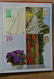 Delcampe - 27492 Niederlande - Dienstmarken: 1935-1990. Nice, Specialised Collection Summer Stamps Of The Netherlands - Service