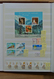 Delcampe - 27891 Russland / Sowjetunion / GUS / Nachfolgestaaaten: Box With 7 Stcokbooks Eith MNH Modern Material Til - Collections