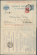 Delcampe - 27931 Russland - Ganzsachen: 1898/1901, CHARITY LETTER-SHEETS OF RUSSIAN EMPIRE, Extraordinary Collection - Entiers Postaux