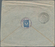 27932 Russland - Stempel: 1913/1916, Group Of 10 Franked Covers/stationeries With Various Rural Postmarks - Sonstige & Ohne Zuordnung