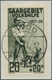18983 Deutsche Abstimmungsgebiete: Saargebiet: 1927, Volkshilfe 20 C Schwarzgrünoliv, Gestempelt Auf Brief - Other & Unclassified