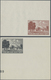 19336 Dt. Besetzung II WK - Böhmen Und Mähren - Zulassungsmarke (Theresienstadt-Marke): 1943, Zulassungsma - Occupation 1938-45